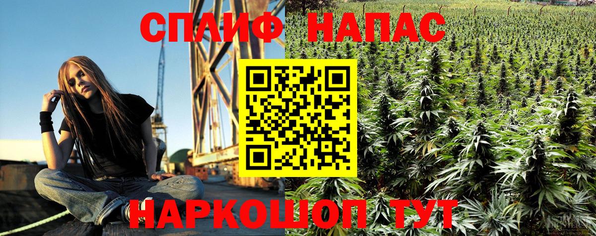 Конопля Amnesia Каспийск